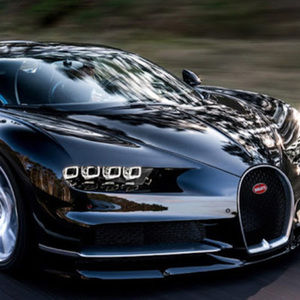 Meet your Posher, Chandler